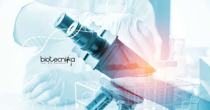 PAU Microbiology & Biotech