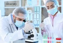 PAU Post Doctorate Associate (PDRA) Biotech / Mol Bio Job Opening PAU Post Doctorate Associate