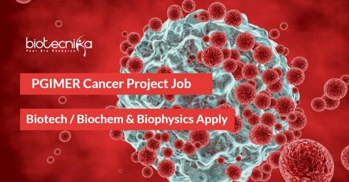 PGIMER Cancer Project Job
