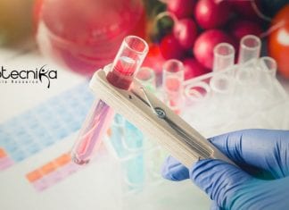 PGIMER Food Technology