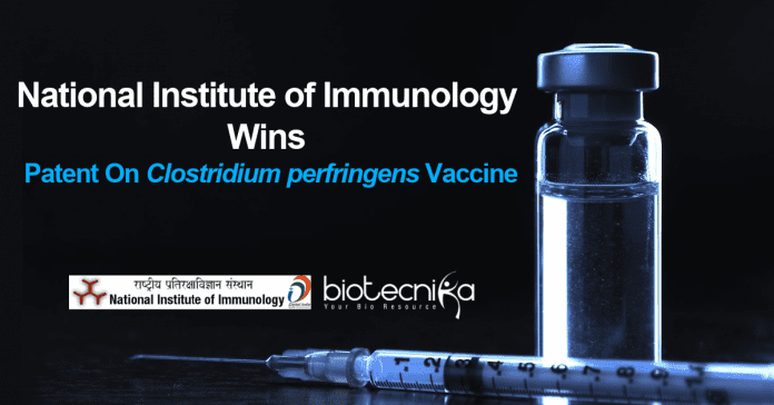 Patent on vaccine against ε-toxin