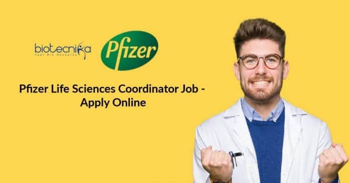 Pfizer Life Sciences Coordinator Job