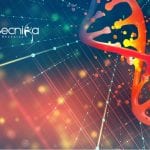 RCB Life Science & Biotech Project Assistant – BSc Candidates Apply Online RCB Life Science &