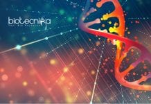 RCB Life Science & Biotech Project Assistant – BSc Candidates Apply Online RCB Life Science &