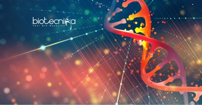 RCB Life Science &