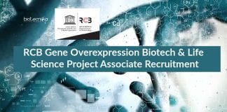 RCB Project Associate Life