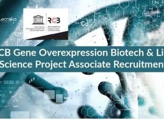 RCB Project Associate Life