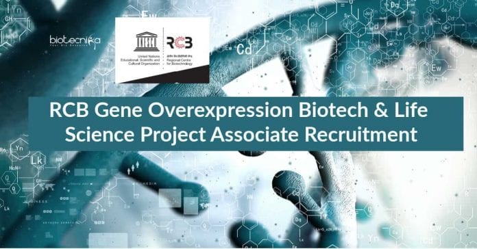 RCB Project Associate Life