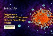COVID-19 Treatment By Regeneron Pharmaceuticals Enters Final Human Trials Stage Regeneron COVID19 Drug REGN-COV2