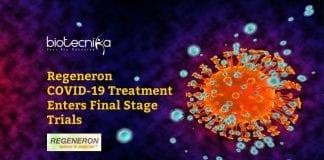 Regeneron COVID19 Drug REGN-COV2