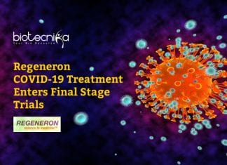 COVID-19 Treatment By Regeneron Pharmaceuticals Enters Final Human Trials Stage Regeneron COVID19 Drug REGN-COV2