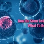 Role of RNA in Epigenetic Regulation