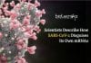 SARS-CoV-2 Disguises Its Own mRNAs