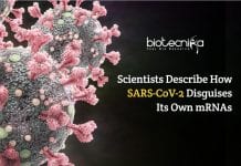 Scientists Decode How SARS-CoV-2 Disguises Its Own mRNAs SARS-CoV-2 Disguises Its Own mRNAs