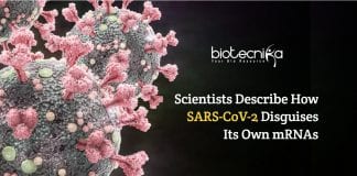 SARS-CoV-2 Disguises Its Own mRNAs