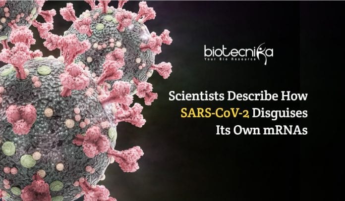 SARS-CoV-2 Disguises Its Own mRNAs