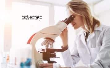 SCTIMST Project Scientist