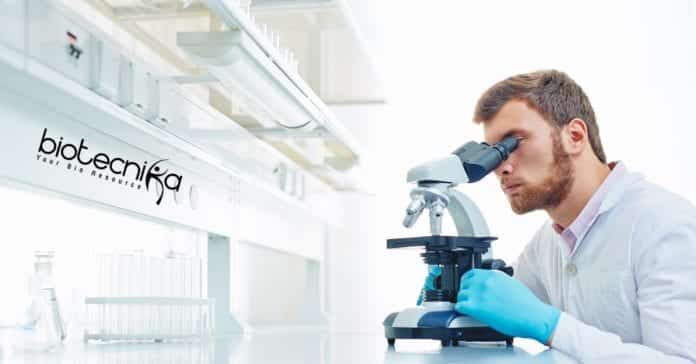 Siemens Research Scientist Job