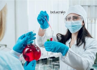 Syngene Assay Biology Research Associate Job For Life Sciences Syngene Assay Biology Research