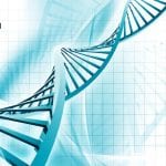 Syngene Biotechnology