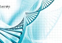 Syngene Biotechnology Process Development Research Associate Job Syngene Biotechnology