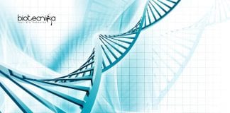 Syngene Biotechnology