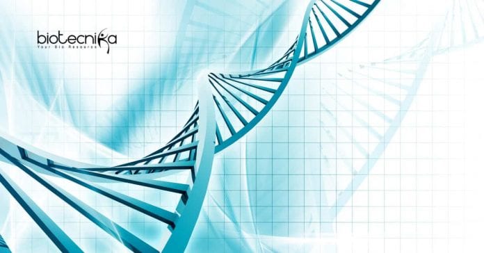 Syngene Biotechnology