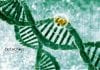 Syngene Molecular Biology Research
