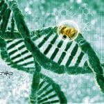 Syngene Molecular Biology Research Associate – Biotech & Biochem Apply Syngene Molecular Biology Research
