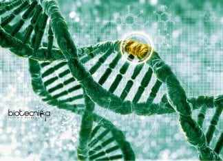 Syngene Molecular Biology Research