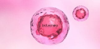 Syngene PhD Biotech Research