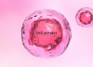Syngene PhD Biotech Research