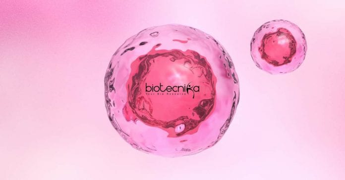 Syngene PhD Biotech Research
