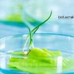 Syngene Protein Expression Scientist