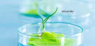Syngene Protein Expression Scientist