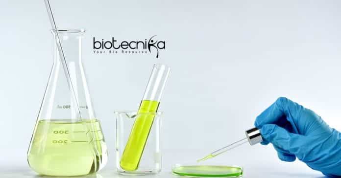 Syngene Scientist Molecular Biology