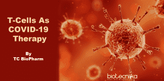T-cells-as-COVID-19-therapy