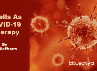 T-cells-as-COVID-19-therapy