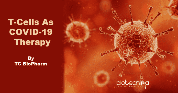 T-cells-as-COVID-19-therapy