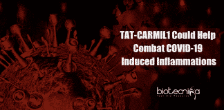 TAT CARMIL1 could combat COVID-19