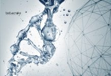 VIT Vellore Freshers Biochem & Biotech Research Fellow Job VIT Vellore Freshers Biochem