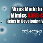 Virus made in lab mimics SARS-CoV-2