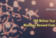 Japanese Scientists Revive 100 Million Year Old Microbes From Seabed ancient microbes revived from sea