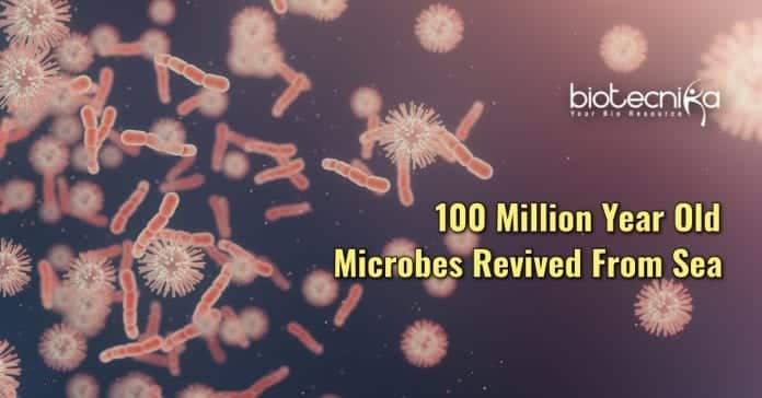 ancient microbes revived from sea