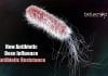 antibiotics and emergence of antibiotic resistance