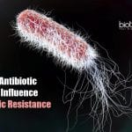 antibiotics and emergence of antibiotic resistance