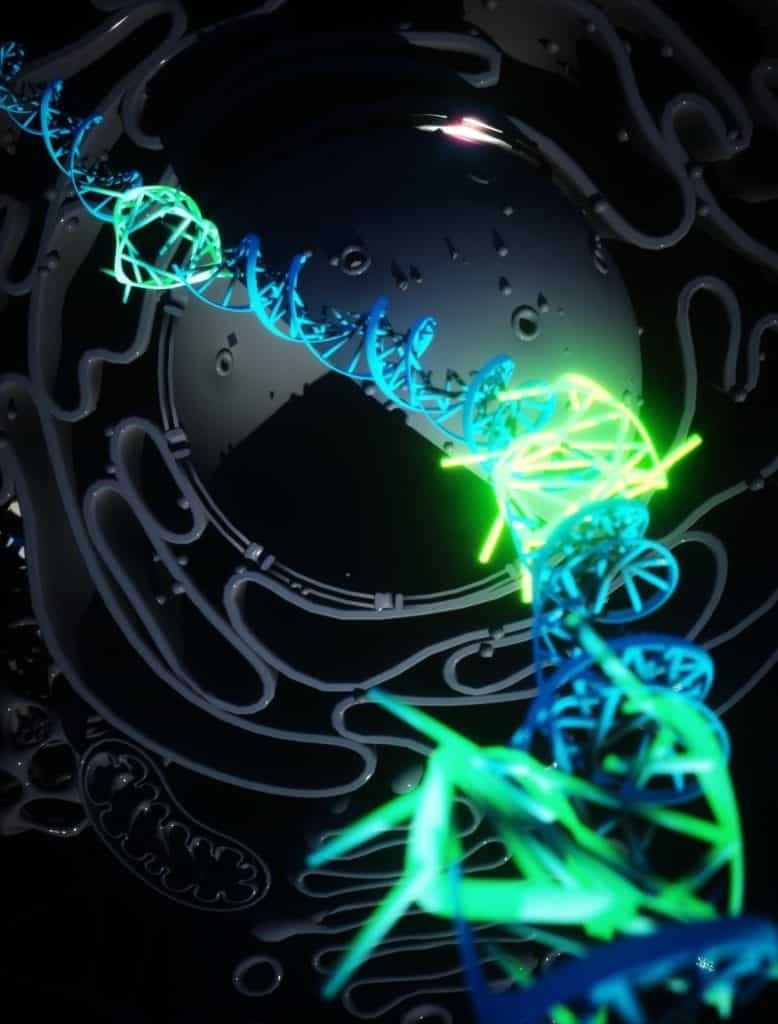 imaging quadruple helix DNA