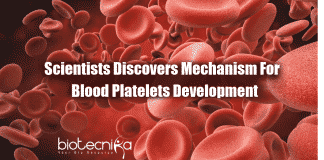 mechanism for development of blood platelets