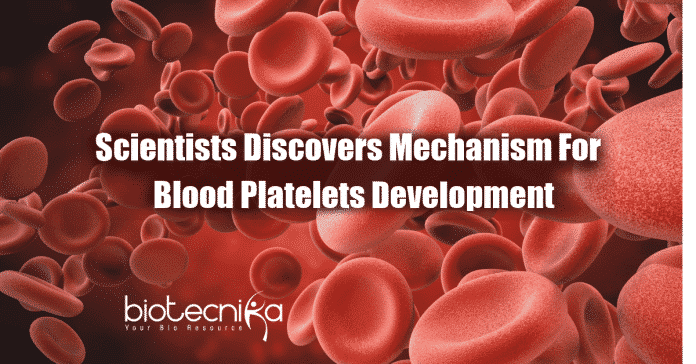 mechanism for development of blood platelets