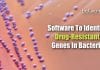 WSU Researchers Develop Software To Identify Drug-Resistant Genes In Bacteria Software To Find Drug-Resistance In Bacteria